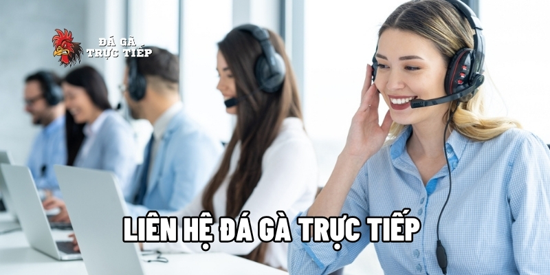 Hướng Dẫn Liên Hệ Đá Gà Trực Tiếp Hiệu Quả Nhất 1 liên hệ đá gà trực tiếp