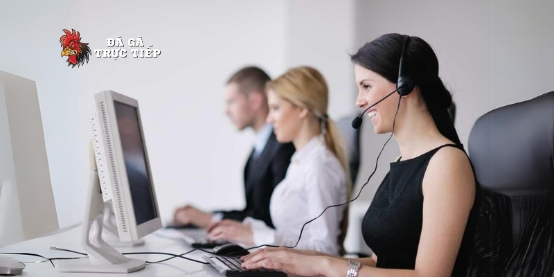Hướng Dẫn Liên Hệ Đá Gà Trực Tiếp Hiệu Quả Nhất 2 Làm thế nào để liên hệ đá gà trực tiếp một cách hiệu quả?