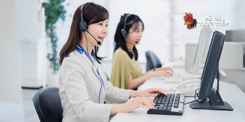 Hướng Dẫn Liên Hệ Đá Gà Trực Tiếp Hiệu Quả Nhất 4 Trường hợp cần liên hệ đá gà trực tiếp