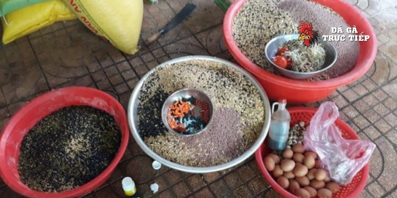 Cách phối hợp khẩu phần ăn hằng ngày