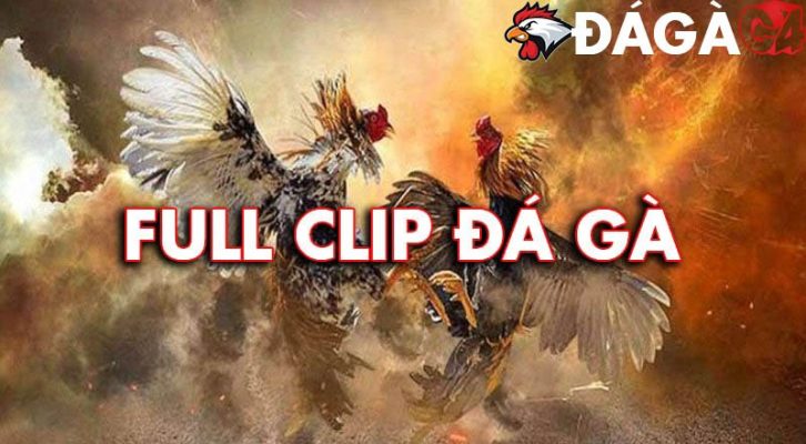 6FAE93DD 317B 4DFD AAB3 24951D5084EC 138