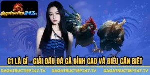 C1 Là Gì