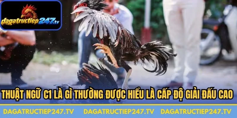 Thuật ngữ C1 là gì thường được hiểu là cấp độ giải đấu cao nhất
