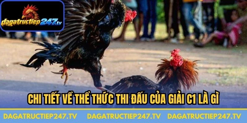 Chi tiết về thể thức thi đấu của giải C1 là gì