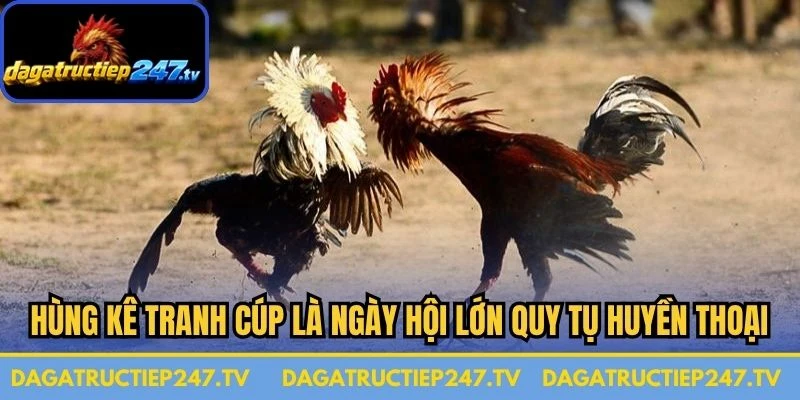Hùng Kê Tranh Cúp là ngày hội lớn quy tụ những huyền thoại