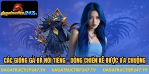 Các Giống Gà Đá Nổi Tiếng