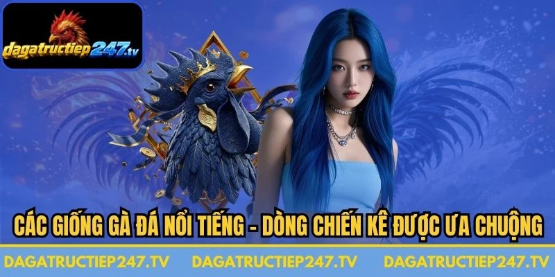 Các Giống Gà Đá Nổi Tiếng