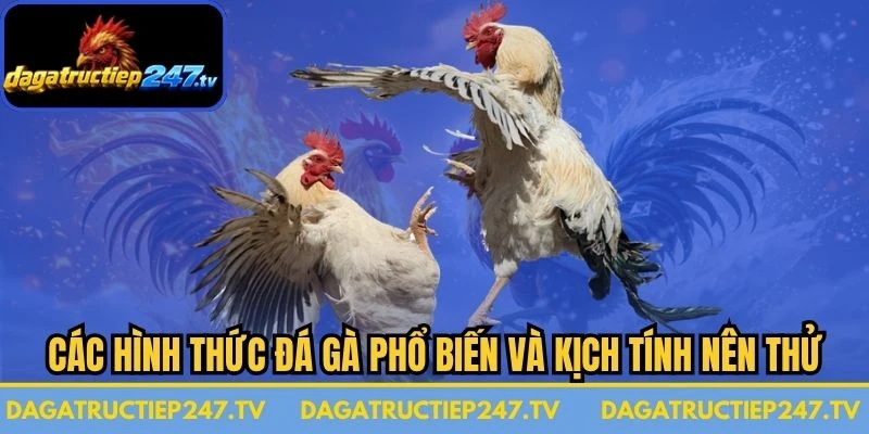 Các Hình Thức Đá Gà