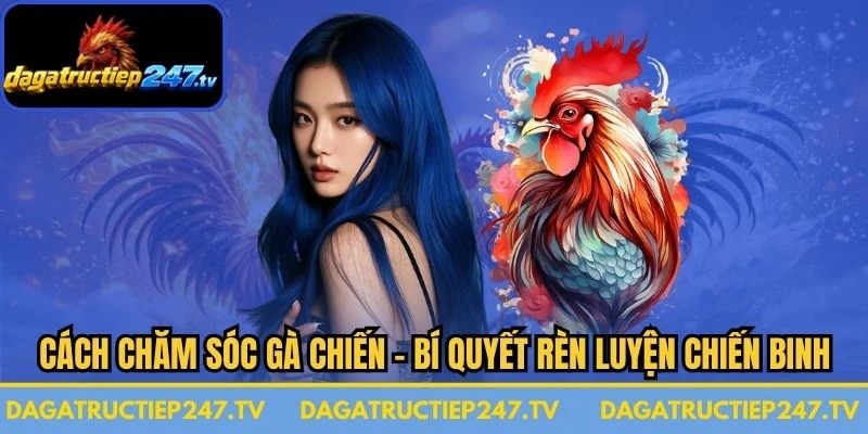Cách Chăm Sóc Gà Chiến