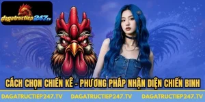 Cách Chọn Chiến Kê