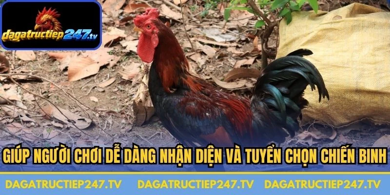 Giúp người chơi dễ dàng nhận diện và tuyển chọn những chiến binh