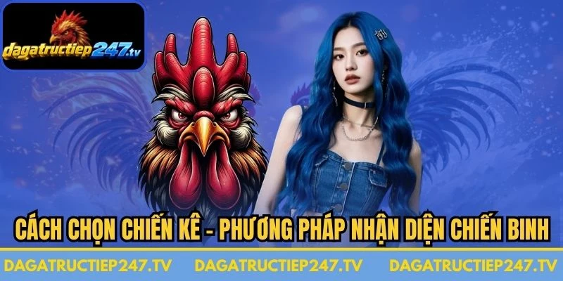 Cách Chọn Chiến Kê