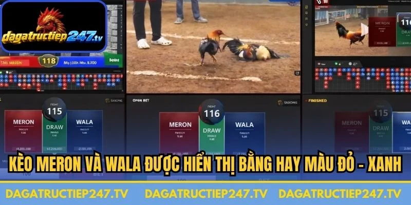 Kèo Meron và Wala được hiển thị bằng hay màu đỏ - xanh 