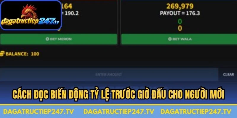 Cách đọc biến động tỷ lệ trước giờ đấu cho người mới 