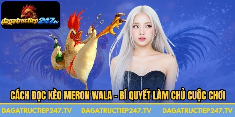 Cách Đọc Kèo Meron Wala