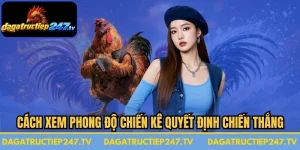 Cách Xem Phong Độ Chiến Kê