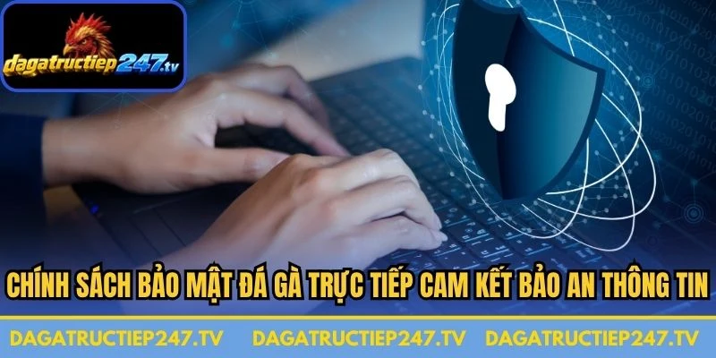 Chính sách bảo mật đá gà trực tiếp cam kết bảo an thông tin người chơi