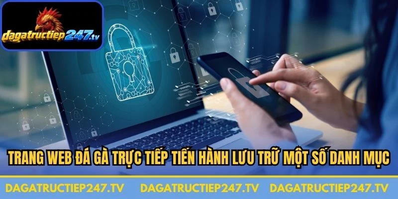 Trang web đá gà trực tiếp tiến hành lưu trữ một số danh mục dữ liệu cụ thể
