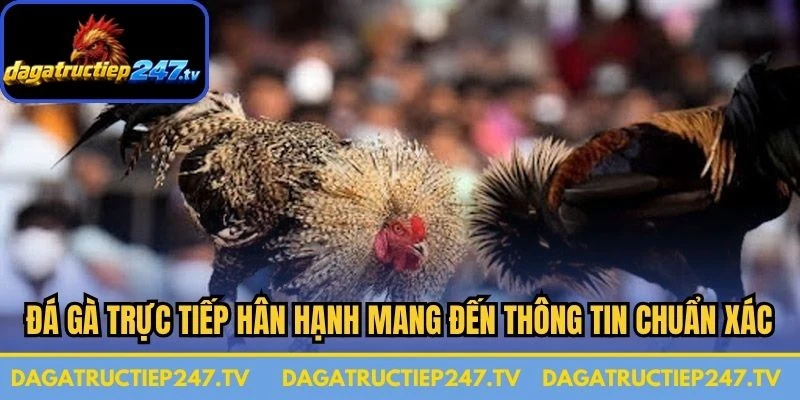 Đá gà trực tiếp hân hạnh mang đến cho quý độc giả những thông tin chuẩn xác 