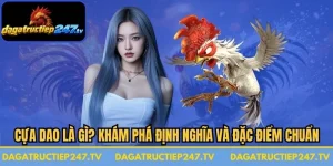 Cựa Dao Là Gì
