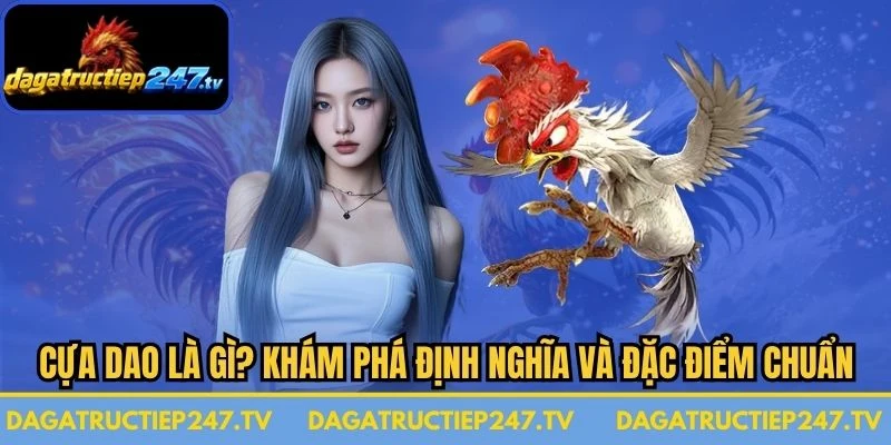 Cựa Dao Là Gì