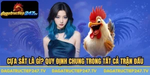 Cựa Sắt Là Gì