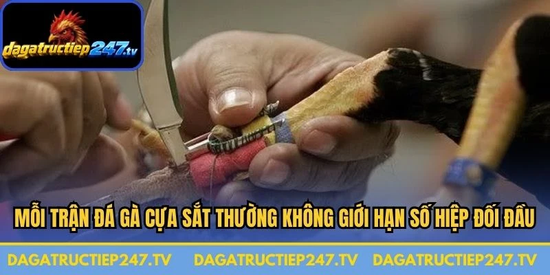 Mỗi trận đá gà cựa sắt thường không giới hạn số hiệp đối đầu