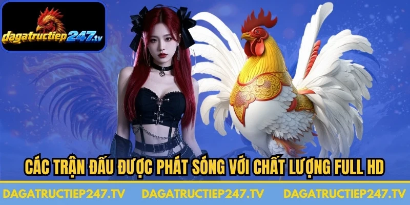 Các trận đấu được cập nhật thường xuyên với hình ảnh sắc nét