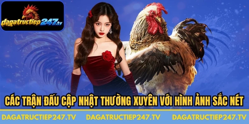Các trận đấu được phát sóng với chất lượng Full HD, mang đến hình ảnh sắc nét