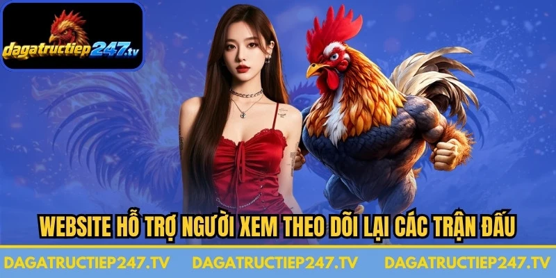 Website đá gà trực tiếp hỗ trợ người xem theo dõi lại các trận đấu đã diễn ra