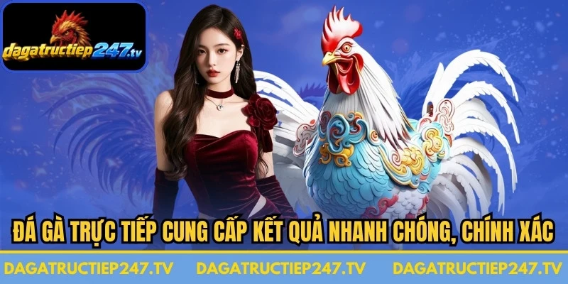 Đá gà trực tiếp cung cấp kết quả nhanh chóng, chính xác