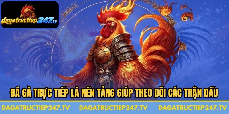 Đá gà trực tiếp là nền tảng giúp người hâm mộ theo dõi các trận đấu hấp dẫn 