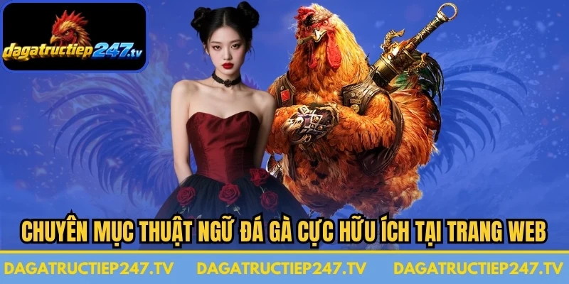 Chuyên mục thuật ngữ đá gà cực hữu ích tại trang web