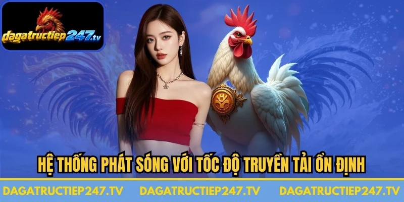 Hệ thống phát sóng với tốc độ truyền tải ổn định trong suốt quá trình theo dõi