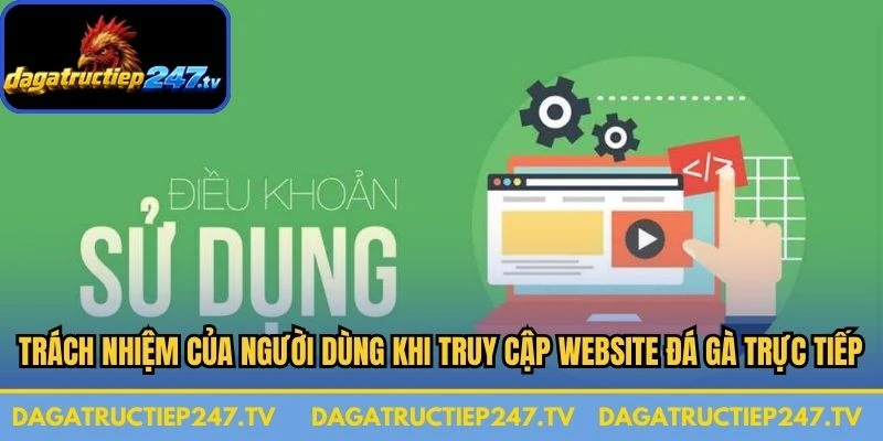 Trách nhiệm của người dùng khi truy cập website đá gà trực tiếp