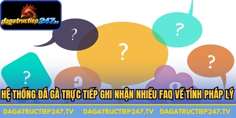 Hệ thống đá gà trực tiếp ghi nhận nhiều FAQ về tính pháp lý và độ an toàn
