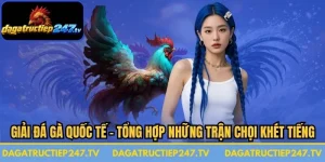 Giải Đá Gà Quốc Tế