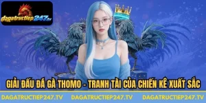 Giải Đấu Đá Gà Thomo