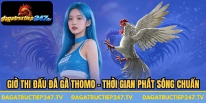 Giờ Thi Đấu Đá Gà Thomo