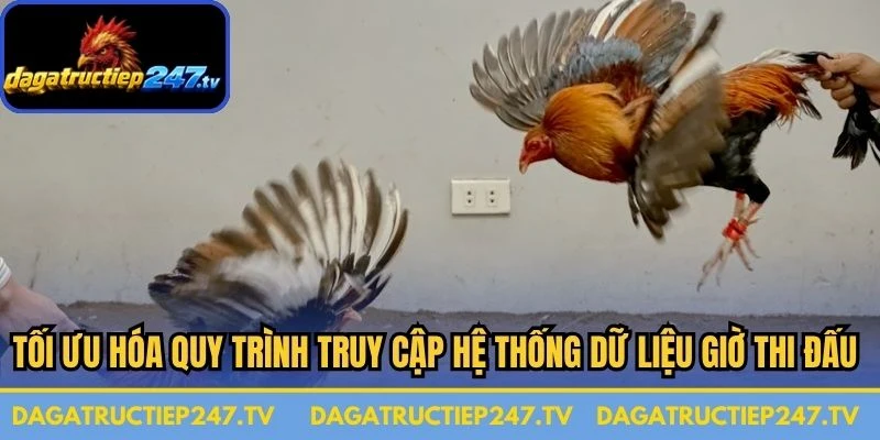 Tối ưu hóa quy trình truy cập hệ thống dữ liệu giờ thi đấu đá gà Thomo