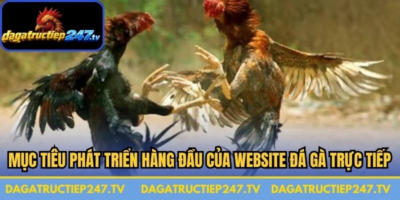 Mục tiêu phát triển hàng đầu của website đá gà trực tiếp