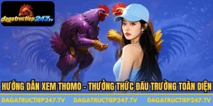 Hướng Dẫn Xem Thomo