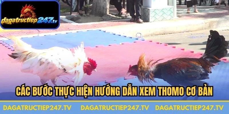 Các bước thực hiện hướng dẫn xem Thomo cơ bản