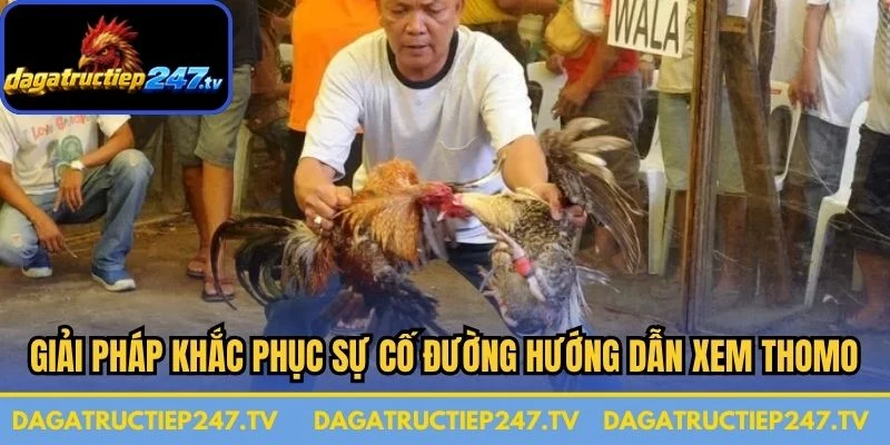 Giải pháp khắc phục sự cố đường hướng dẫn xem Thomo