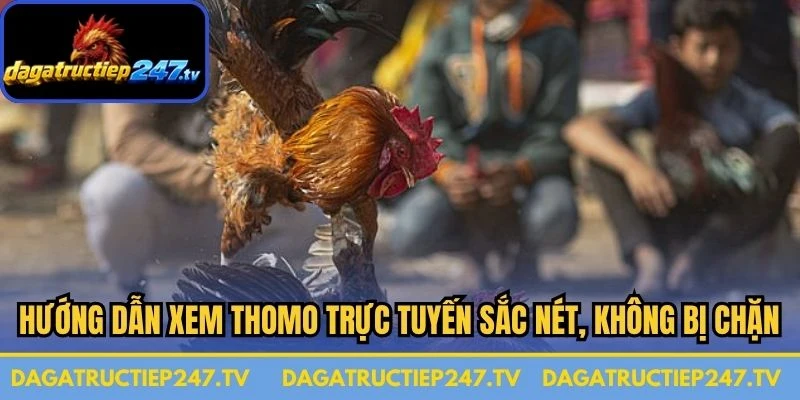 Hướng dẫn xem Thomo trực tuyến sắc nét, không bị chặn