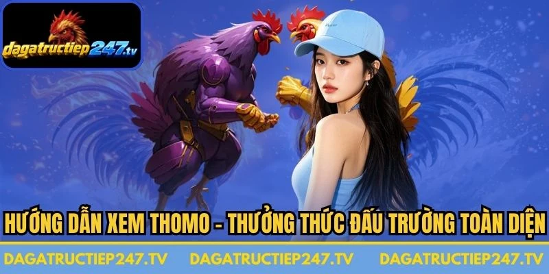 Hướng Dẫn Xem Thomo