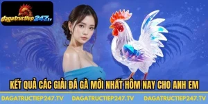 Kết Quả Các Giải Đá Gà