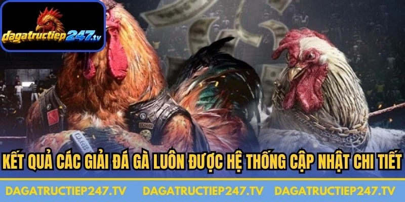 Kết quả các giải đá gà luôn được hệ thống cập nhật chi tiết