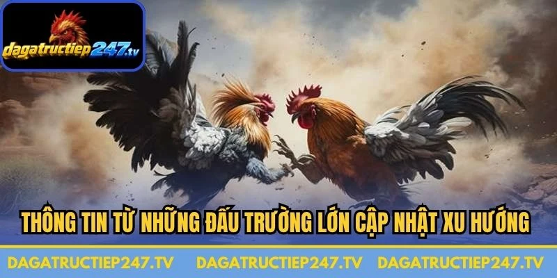 Thông tin từ những đấu trường lớn cập nhật xu hướng chiến thuật cao