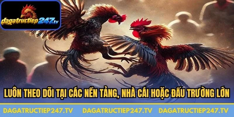 Luôn theo dõi tại các nền tảng, nhà cái hoặc đấu trường lớn